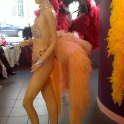 Jupe Kylie Minogue Boa Autruche