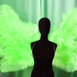 Ailes En Plumes D'autruche