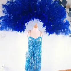 Demie Roue En Autruche