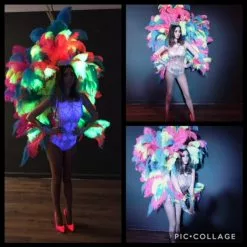 Ailes En Plumes Blondine