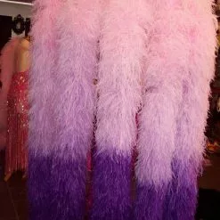 Cascade De Boas Autruche