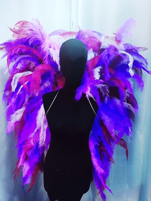 Ailes En Plumes De Floss 3 Ailes En Plumes De Floss