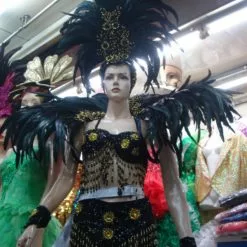 Armature Et Casque En Coq