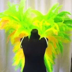 Ailes En Plumes De Floss