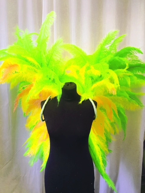 Ailes En Plumes De Floss 3 Ailes En Plumes De Floss