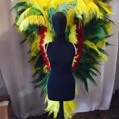 Ailes En Plumes D'autruche