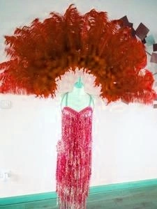 Demie Roue Haute En Plumes D'autruche