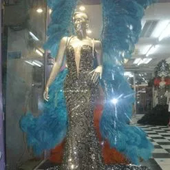 Ailes En Autruche Et Strass