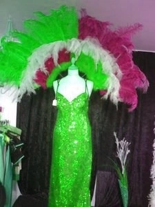 Demie Roue En Autruche Et Floss