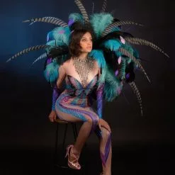 Dos Asymétrique Faisans Et Autruche