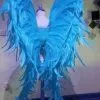 Ailes En Plumes De Coq -Halloween 800x800 1124