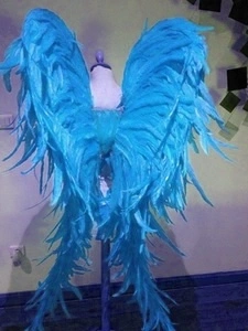 Ailes En Plumes De Coq