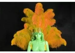 Demie Roue Et Casque