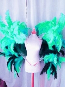 Armature Brésilienne Hanches Et épaules