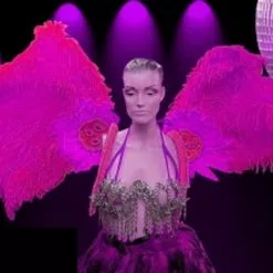 Dos En Plumes D'autruche Et Oie