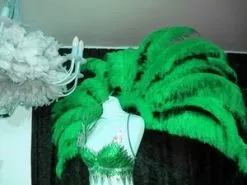 Demie Roue En Plumes Autruche Taillées