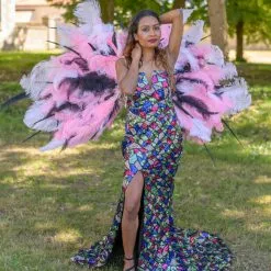 Dos De Plumes Rêverie