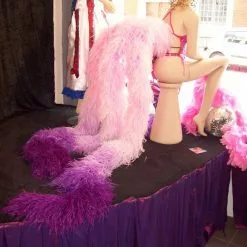 Armature De Hanches En Boas D'autruche