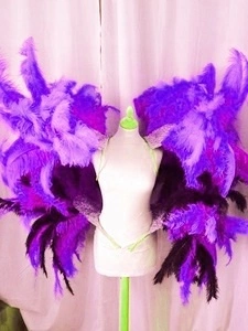 Armature Brésilienne Hanches Et épaules