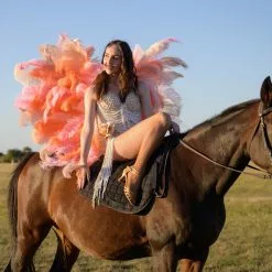 Ailes En Plumes Blondine