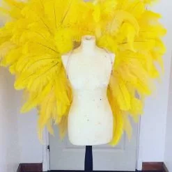 Ailes En Plumes Blondine