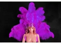 Demie Roue Et Casque