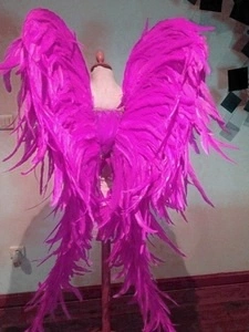 Ailes En Plumes De Coq