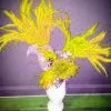 Casque En Plumes De Coq -Halloween 800x800 120