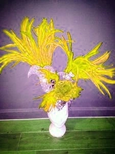 Casque En Plumes De Coq 3 Casque En Plumes De Coq