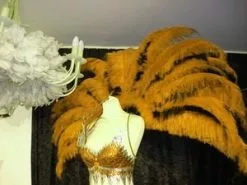 Demie Roue En Autruche Taillée