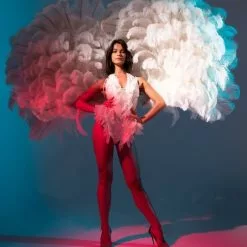 Ailes Xxl En Plumes D'autruche