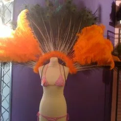 Demie Roue En Autruche Et Paon