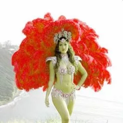 Dos En Plumes D'autruche