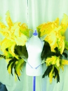 Armature Brésilienne Hanches Et épaules