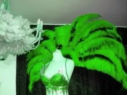 Demie Roue En Plumes Autruche Taillées