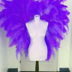 Ailes En Plumes Blondine