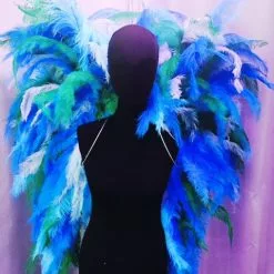 Ailes En Plumes De Floss