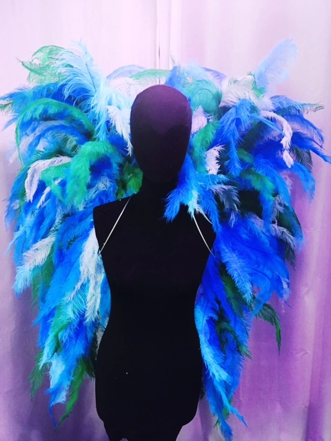 Ailes En Plumes De Floss 3 Ailes En Plumes De Floss