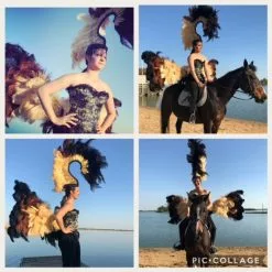 Armature De Hanche Et Casque En Plumes