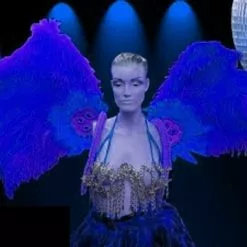 Dos En Plumes D'autruche Et Oie