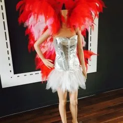 Ailes En Floss Démontables