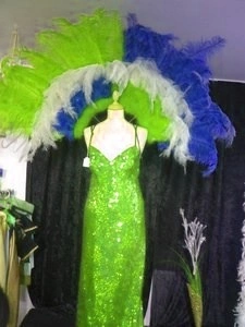 Demie Roue En Autruche Et Floss