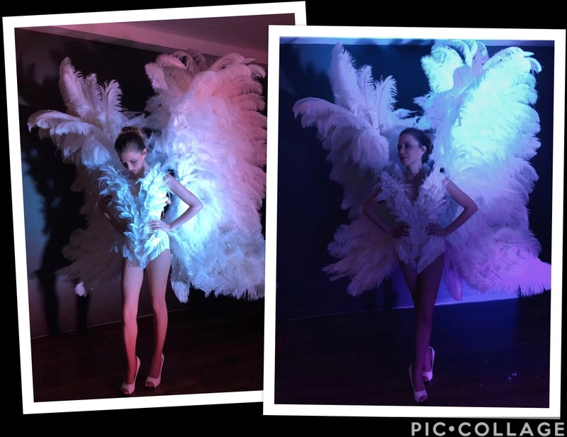 Grandes Ailes En Plumes Autruche 3 Grandes Ailes En Plumes Autruche