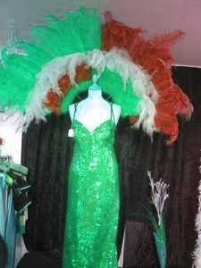 Demie Roue En Autruche Et Floss