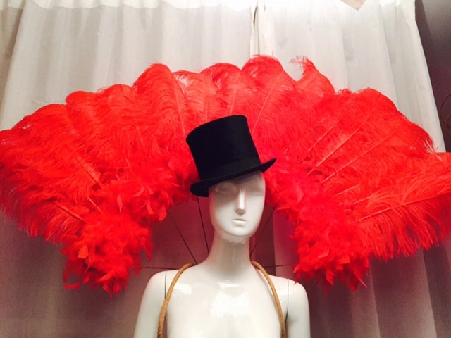 Demie Roue En Autruche 3 Demie Roue En Autruche