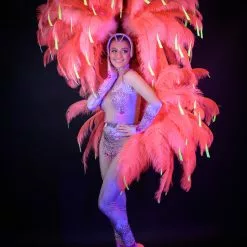 Armature De Hanches En Autruche