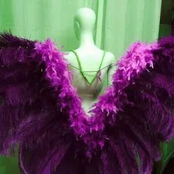 Dos En Plumes D'autruche