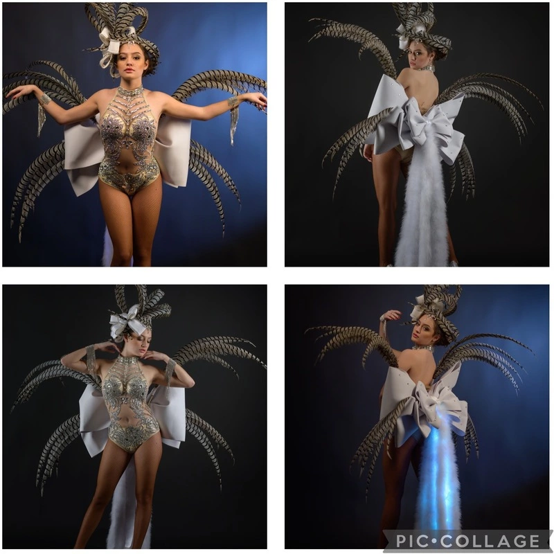 Gros Noeud En Plumes 3 Gros Noeud En Plumes