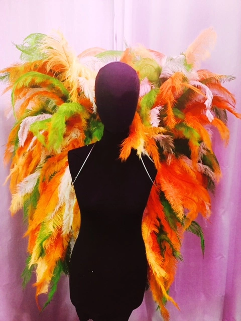 Ailes En Plumes De Floss 3 Ailes En Plumes De Floss