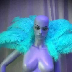 Petite Demie Roue En Plumes